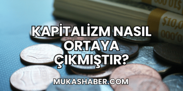 Kapitalizm Nasıl Ortaya Çıkmıştır?