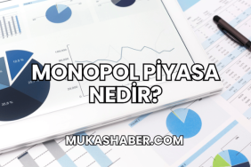 Monopol Piyasa Nedir?