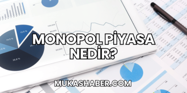 Monopol Piyasa Nedir?