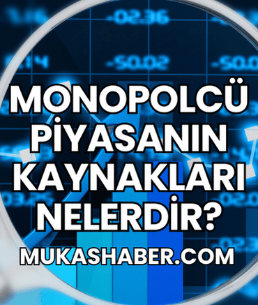 Monopolcü Piyasanın Kaynakları Nelerdir?