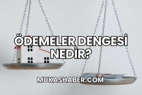 Ödemeler Dengesi Nedir?