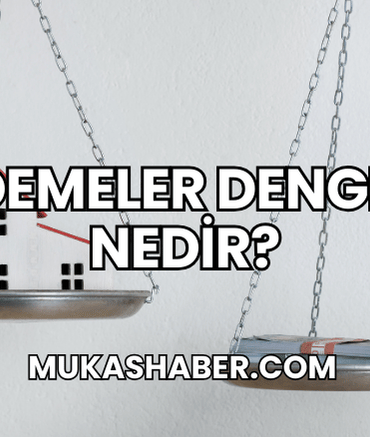 Ödemeler Dengesi Nedir?