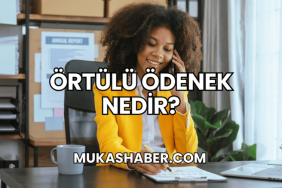 Örtülü Ödenek Nedir?