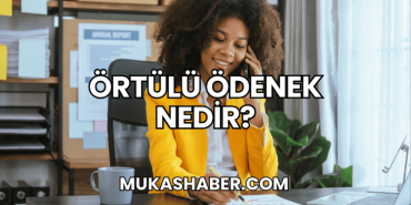 Örtülü Ödenek Nedir?