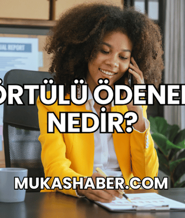Örtülü Ödenek Nedir?