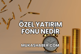 Özel Yatırım Fonu Nedir