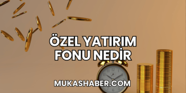 Özel Yatırım Fonu Nedir