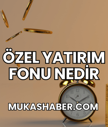 Özel Yatırım Fonu Nedir