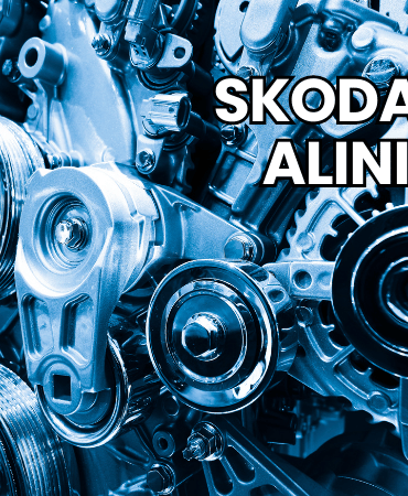 Skoda Rapid Alınır mı?