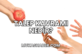 Talep Kavramı Nedir?