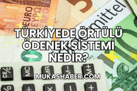 Türkiyede Örtülü Ödenek Sistemi Nedir?
