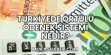 Türkiyede Örtülü Ödenek Sistemi Nedir?