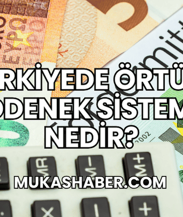 Türkiyede Örtülü Ödenek Sistemi Nedir?