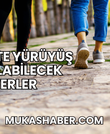 Bitlis'te Yürüyüş Yapılabilecek Yerler