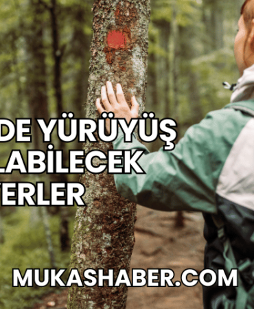 Düzce'de Yürüyüş Yapılabilecek Yerler