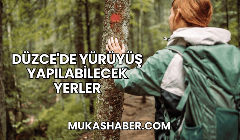 Düzce'de Yürüyüş Yapılabilecek Yerler