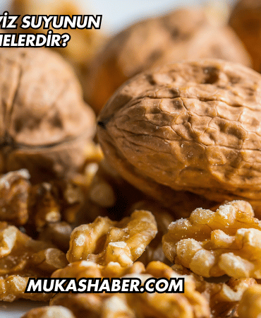 Aç Karnına Ceviz Suyunun Faydaları Nelerdir?