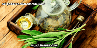 Acı Çayın Faydaları Nelerdir?