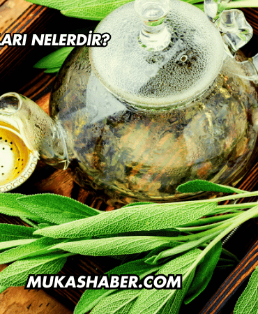 Acı Çayın Faydaları Nelerdir?