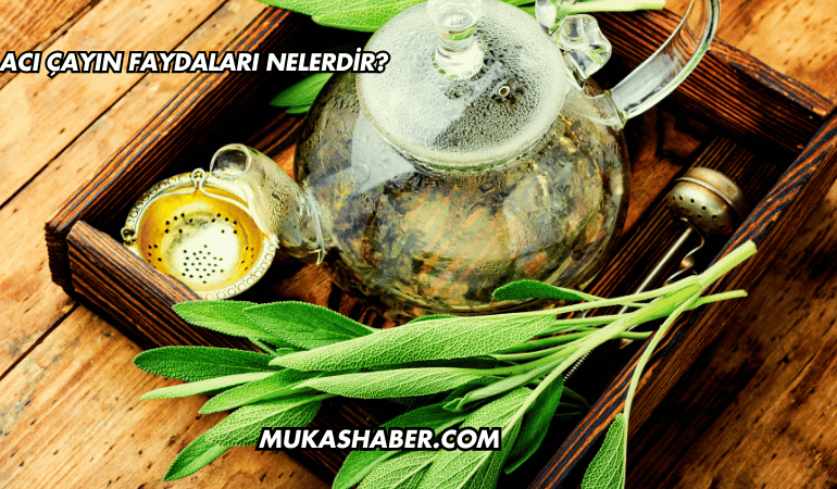 Acı Çayın Faydaları Nelerdir?