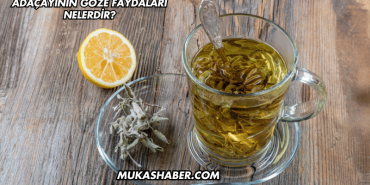 Adaçayının Göze Faydaları Nelerdir?