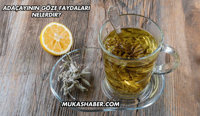 Adaçayının Göze Faydaları Nelerdir?