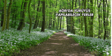 Ağrı'da Yürüyüş Yapılabilecek Yerler