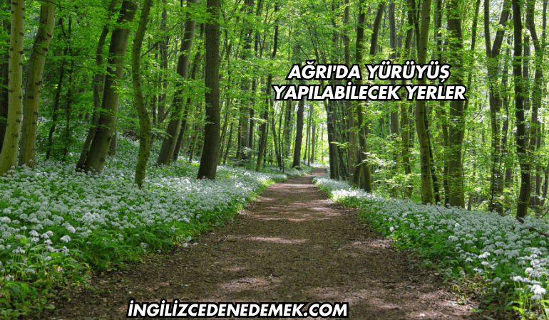 Ağrı'da Yürüyüş Yapılabilecek Yerler