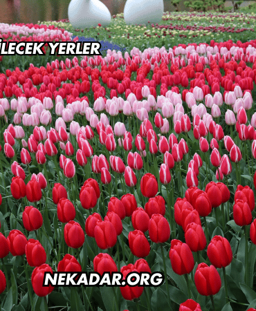 Amasya'da Gezilecek Yerler