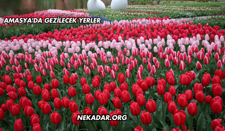 Amasya'da Gezilecek Yerler