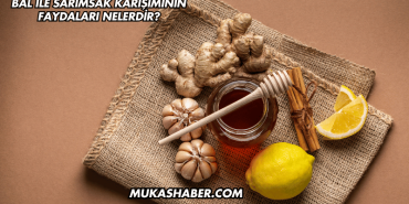 Bal ile Sarımsak Karışımının Faydaları Nelerdir?