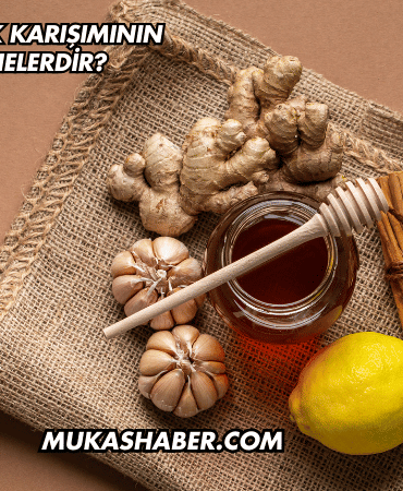 Bal ile Sarımsak Karışımının Faydaları Nelerdir?