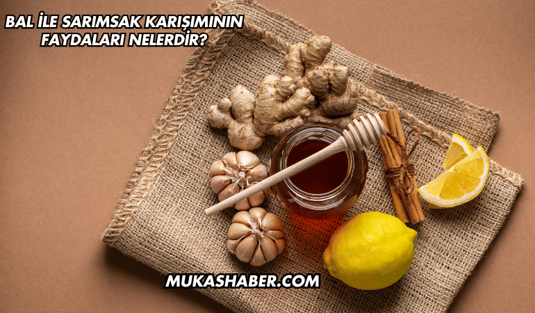 Bal ile Sarımsak Karışımının Faydaları Nelerdir?