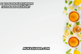 Bal ve Nane Karışımının Faydaları Nelerdir?