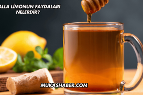 Balla Limonun Faydaları Nelerdir?