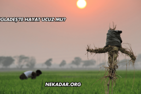 Bangladeş'te Hayat Ucuz mu?