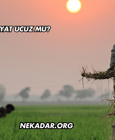 Bangladeş'te Hayat Ucuz mu?