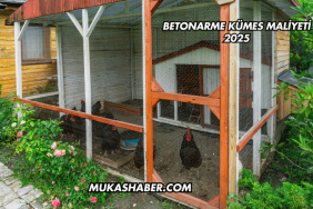 Betonarme Kümes Maliyeti 2025