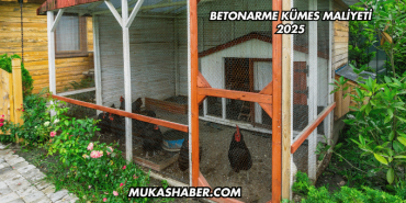 Betonarme Kümes Maliyeti 2025