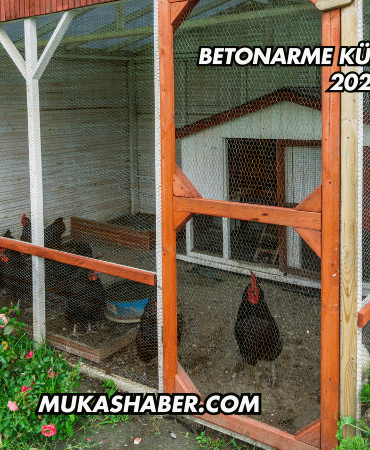 Betonarme Kümes Maliyeti 2025