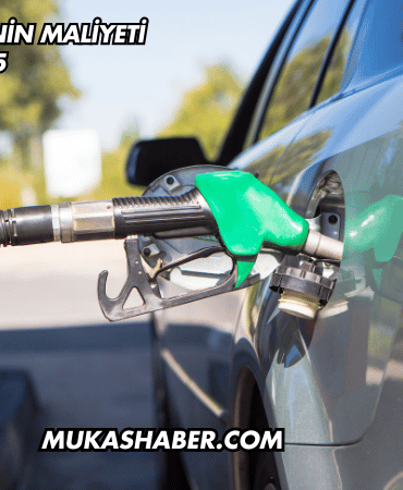 Bir Litre Benzinin Maliyeti 2025