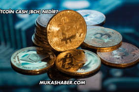 Bitcoin Cash (BCH) Nedir?