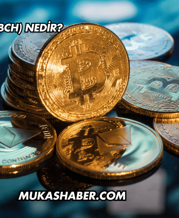 Bitcoin Cash (BCH) Nedir?