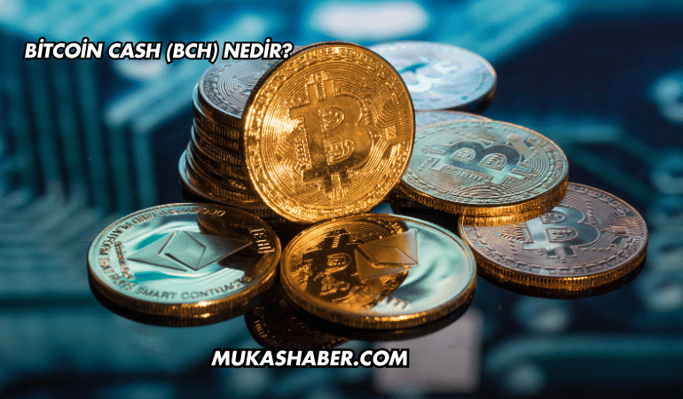 Bitcoin Cash (BCH) Nedir?