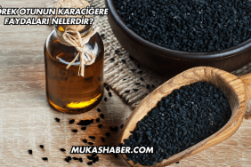 Çörek Otunun Karaciğere Faydaları Nelerdir?