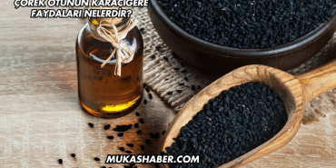 Çörek Otunun Karaciğere Faydaları Nelerdir?