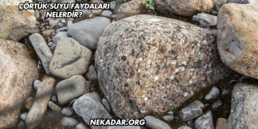 Çörtük Suyu Faydaları Nelerdir?