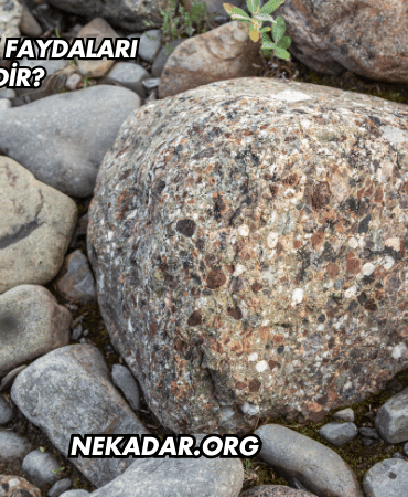 Çörtük Suyu Faydaları Nelerdir?