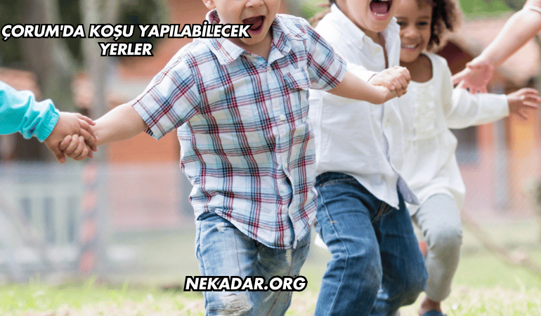 Çorum'da Koşu Yapılabilecek Yerler