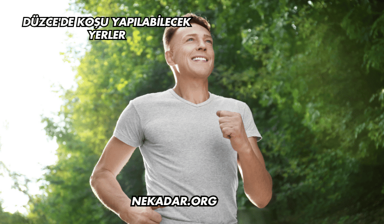 Düzce'de Koşu Yapılabilecek Yerler